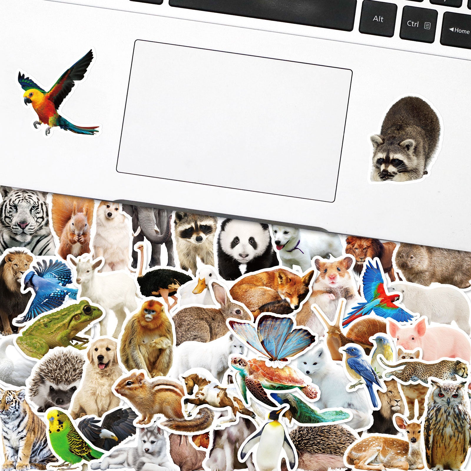 Wholesale Animal Realistic Sticker
